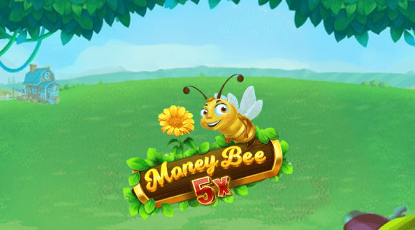 MoneyBee5x